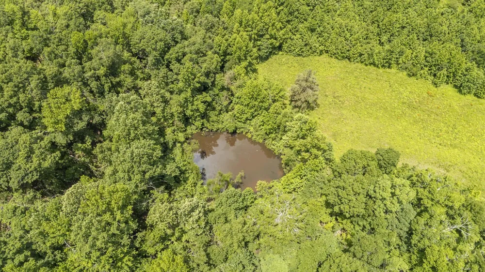 904 CAPOOTH RD Ramer, TN 38367