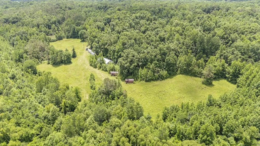 904 CAPOOTH RD Ramer, TN 38367