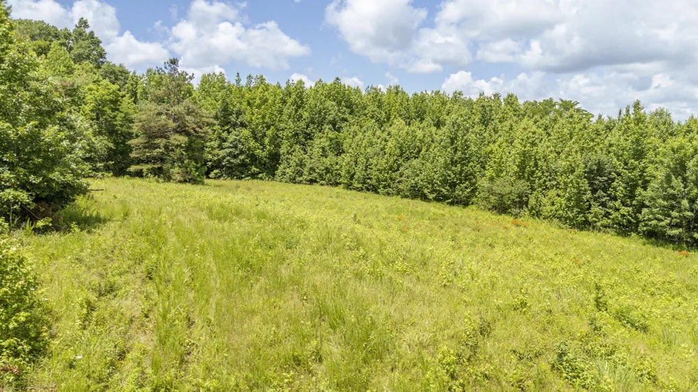 904 CAPOOTH RD Ramer, TN 38367