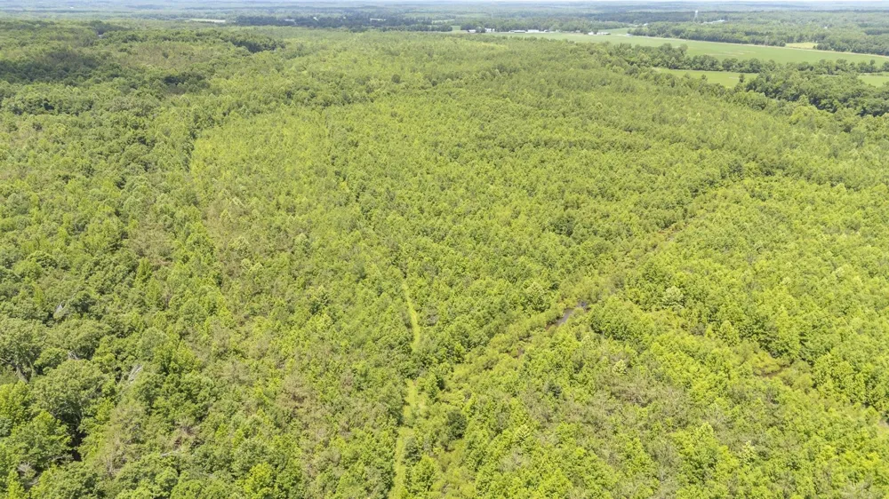 904 CAPOOTH RD Ramer, TN 38367