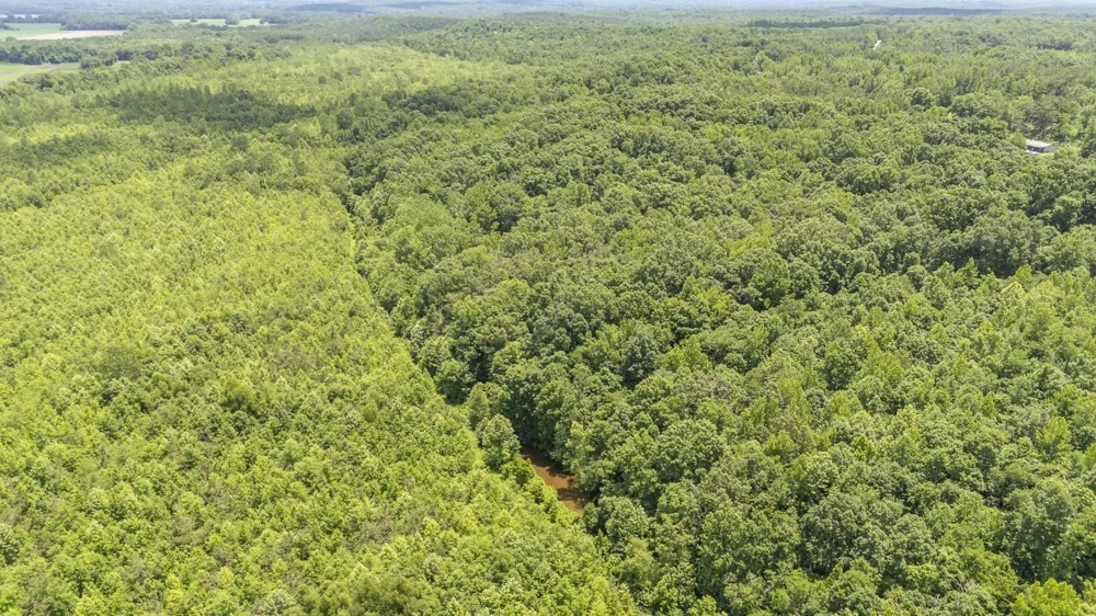 904 CAPOOTH RD Ramer, TN 38367
