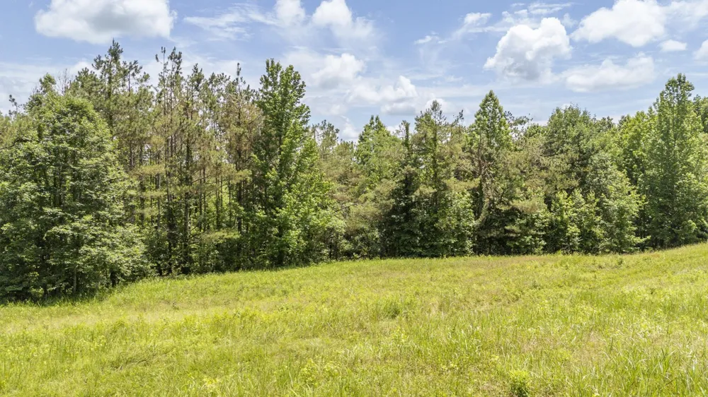 904 CAPOOTH RD Ramer, TN 38367