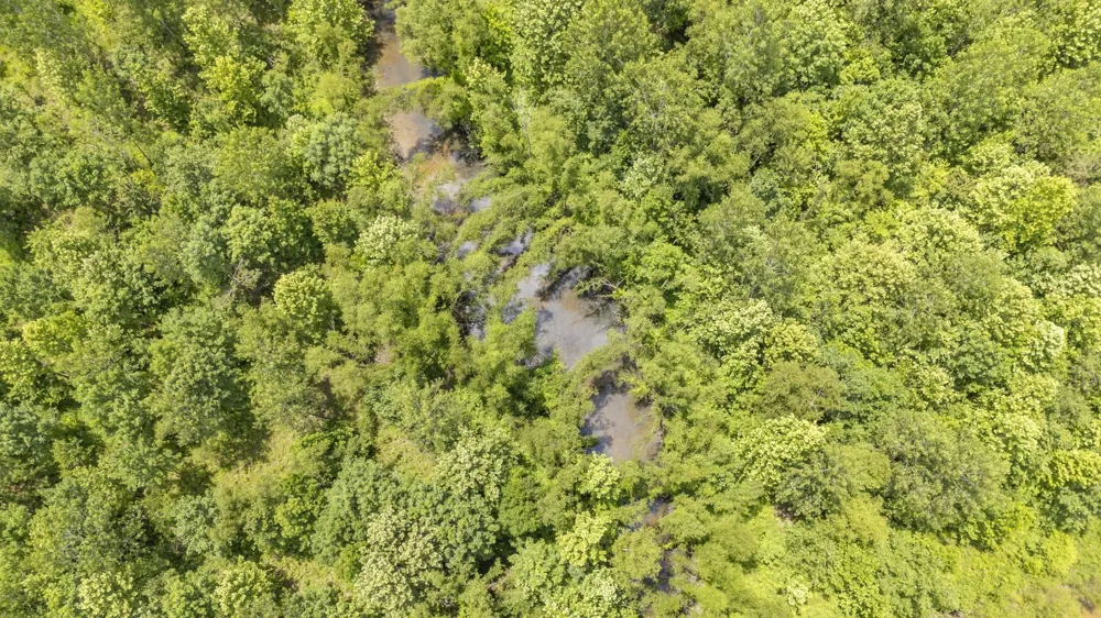 904 CAPOOTH RD Ramer, TN 38367