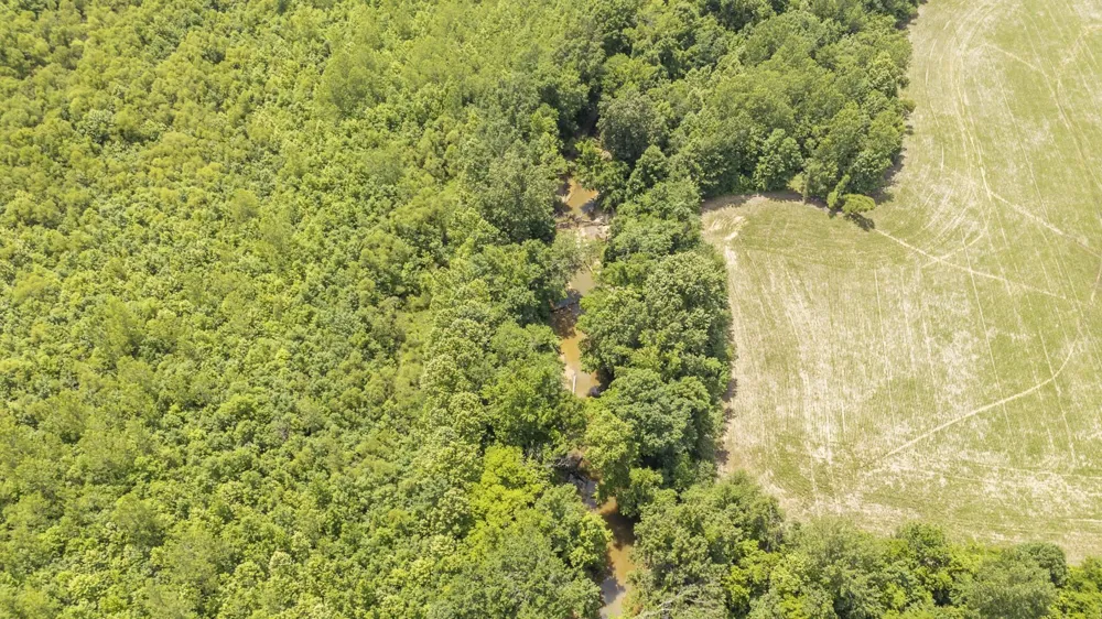 904 CAPOOTH RD Ramer, TN 38367