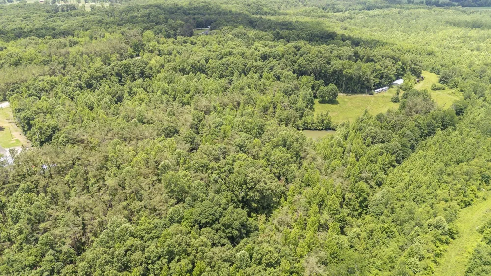 904 CAPOOTH RD Ramer, TN 38367