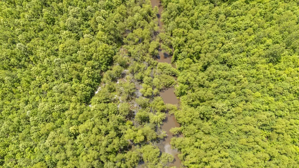 904 CAPOOTH RD Ramer, TN 38367