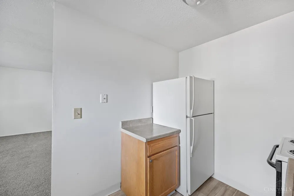 204 North East Street #10 Mason, OH 45040