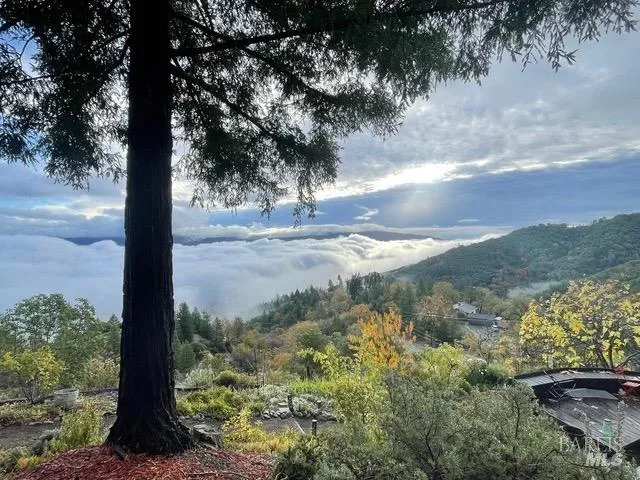 1455 Oak Knoll Road Ukiah, CA 95482