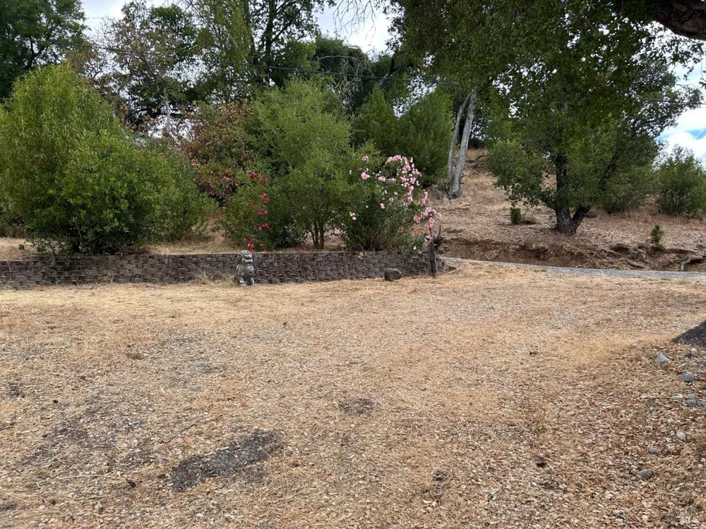 1225 Michele Way Santa Rosa, CA 95404