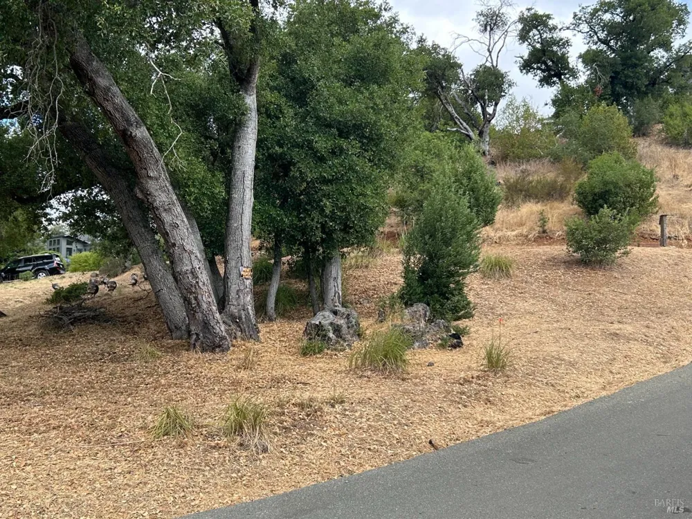 1225 Michele Way Santa Rosa, CA 95404