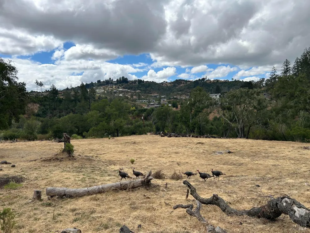 1225 Michele Way Santa Rosa, CA 95404