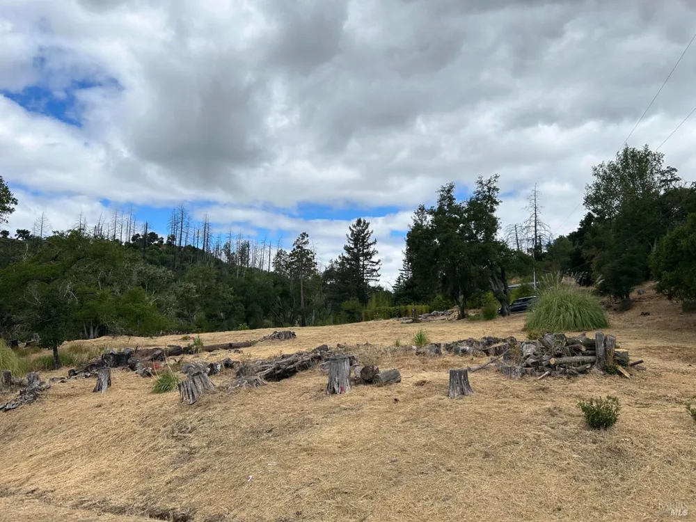 1225 Michele Way Santa Rosa, CA 95404