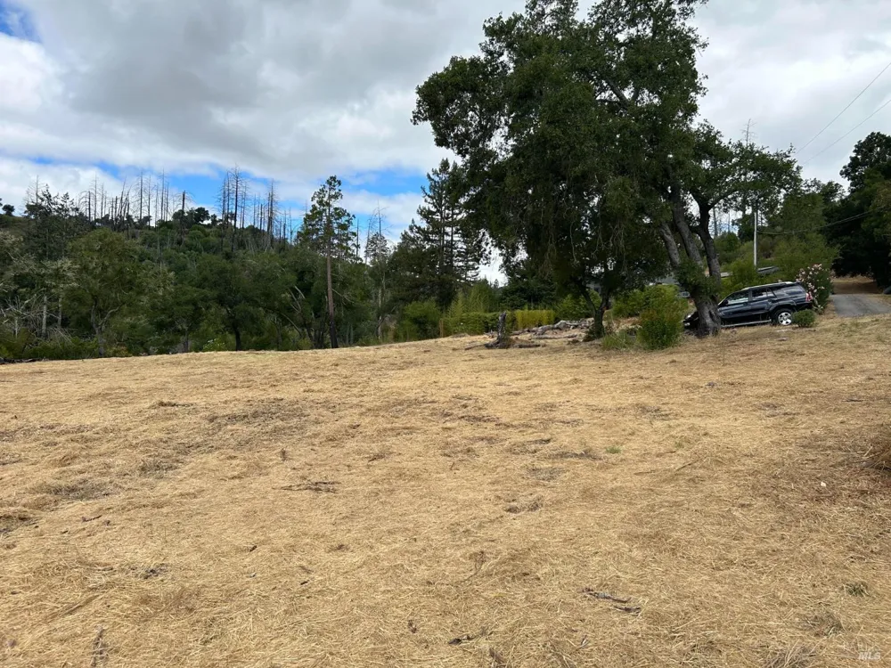 1225 Michele Way Santa Rosa, CA 95404
