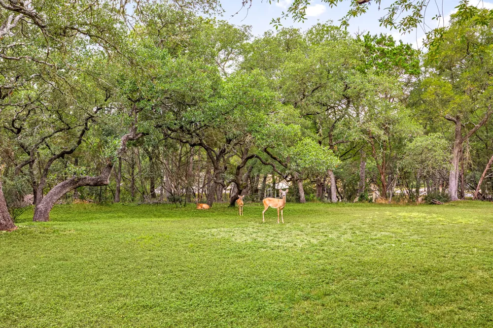 20 Westwood Drive Wimberley, TX 78676