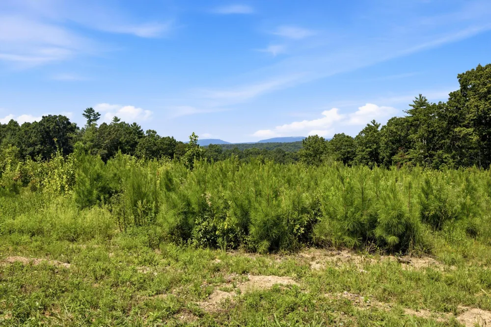 Triple Ridge, Lot #4 Trail Grandview, TN 37337