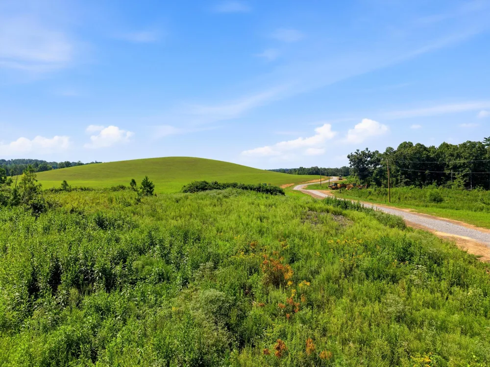 Triple Ridge, Lot #3 Trail Grandview, TN 37337