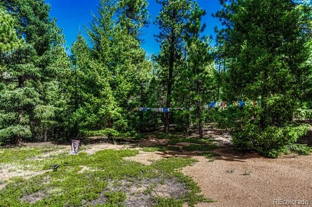 3620 Simon Point Colorado Springs, CO 80906