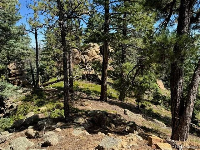 3620 Simon Point Colorado Springs, CO 80906
