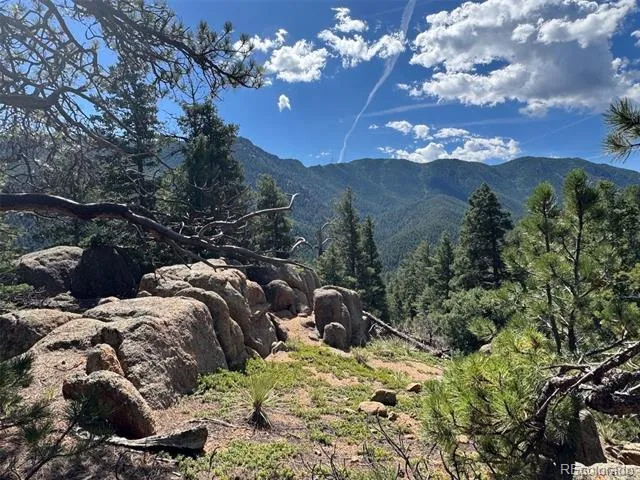 3620 Simon Point Colorado Springs, CO 80906