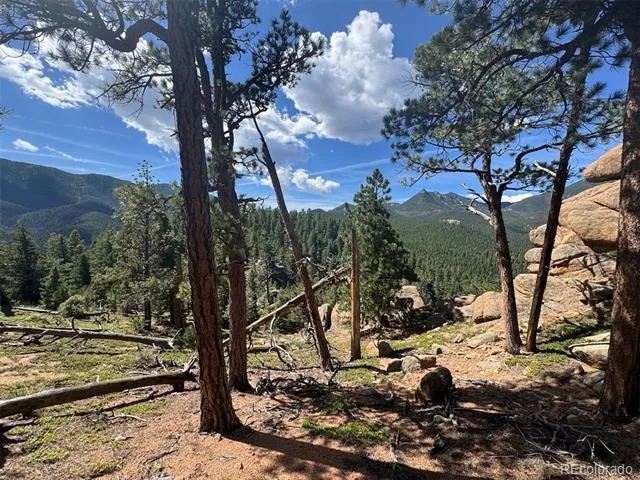 3620 Simon Point Colorado Springs, CO 80906