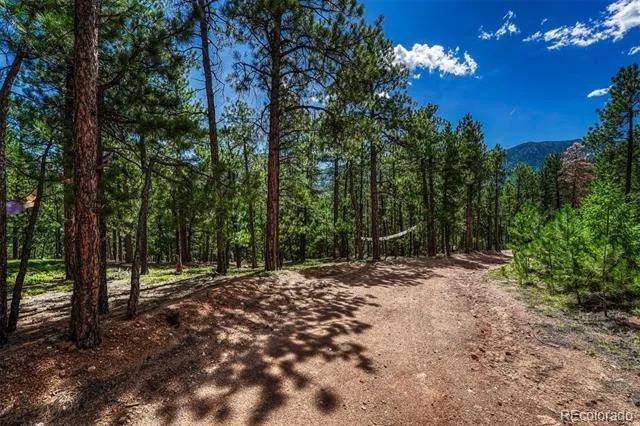 3620 Simon Point Colorado Springs, CO 80906