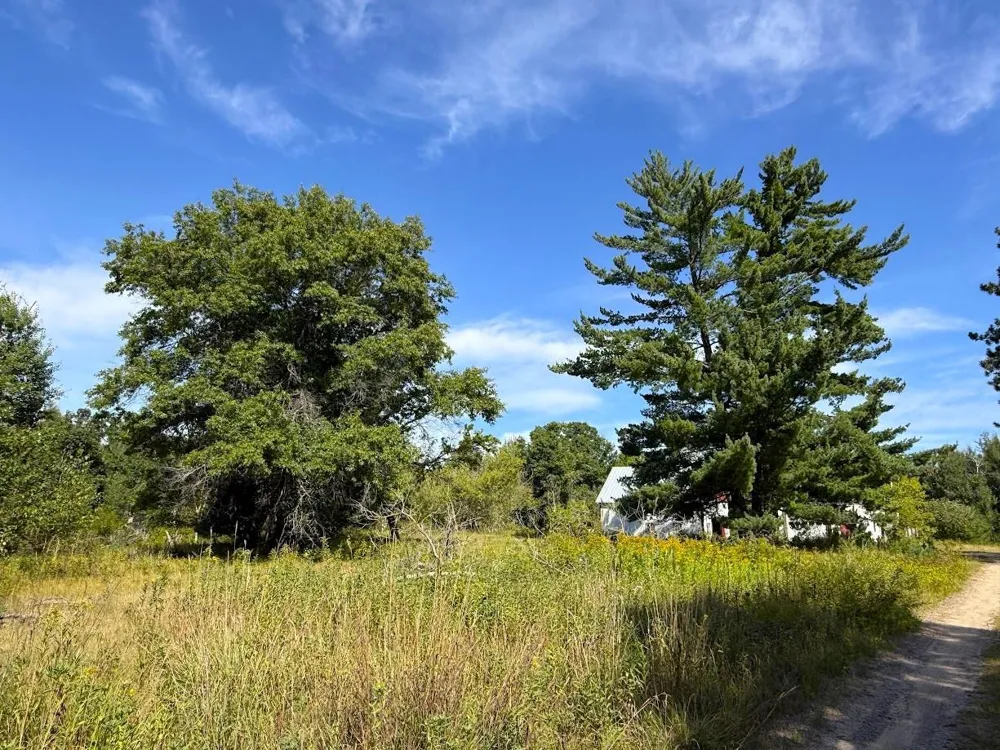 10082 Legionville Road Brainerd, MN 56401