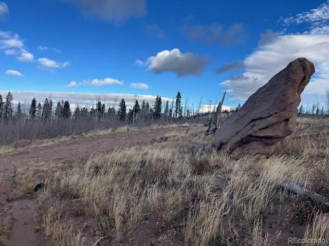 Lot 2544 Petito Drive Fort Garland, CO 81133