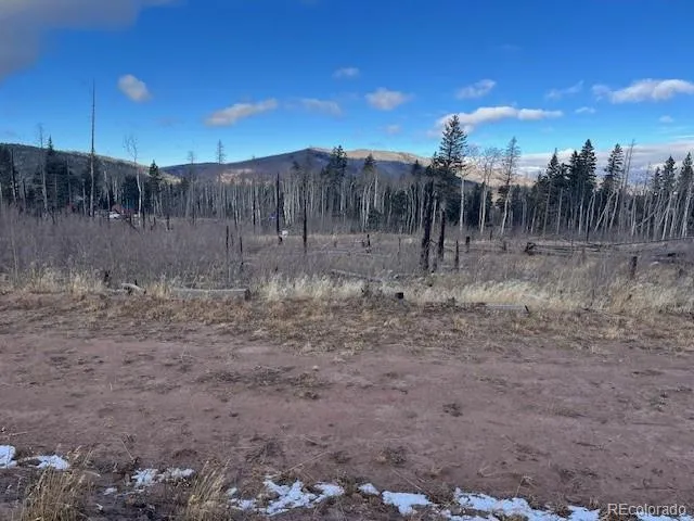Lot 2544 Petito Drive Fort Garland, CO 81133