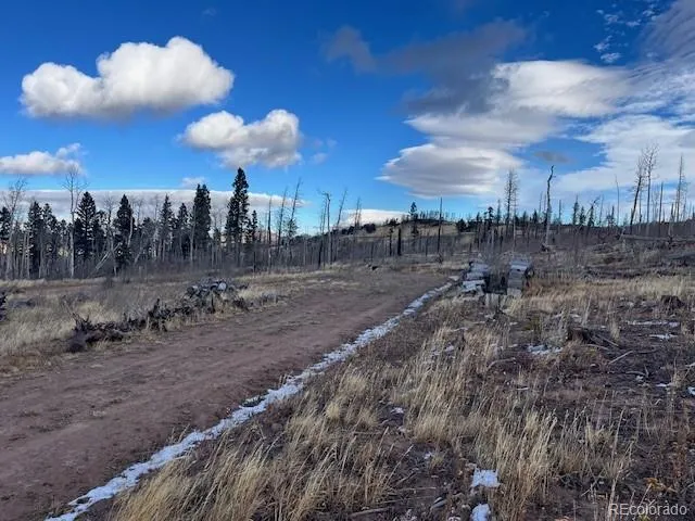 Lot 2544 Petito Drive Fort Garland, CO 81133