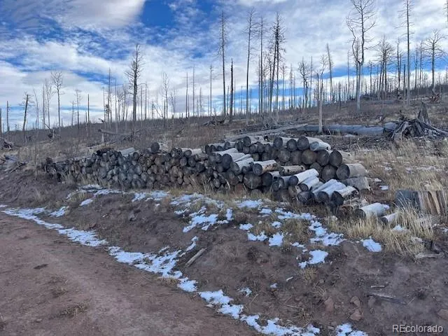 Lot 2544 Petito Drive Fort Garland, CO 81133