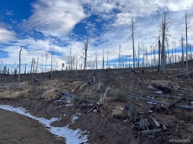 Lot 2544 Petito Drive Fort Garland, CO 81133