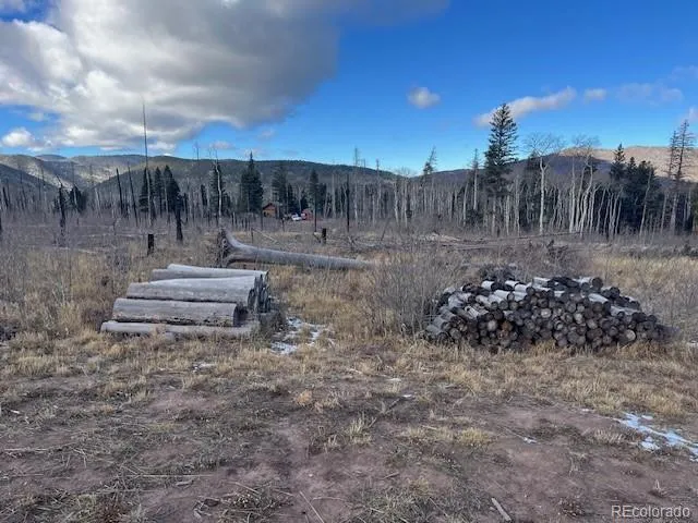 Lot 2544 Petito Drive Fort Garland, CO 81133