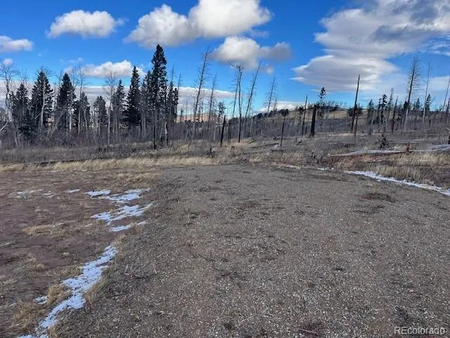 Lot 2544 Petito Drive Fort Garland, CO 81133