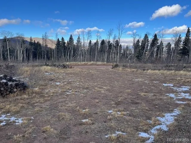 Lot 2544 Petito Drive Fort Garland, CO 81133