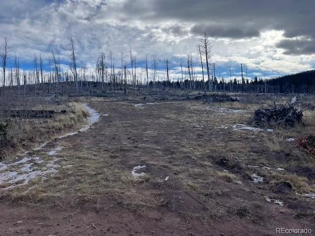 Lot 2544 Petito Drive Fort Garland, CO 81133