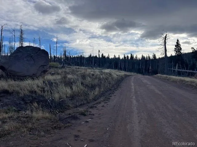 Lot 2544 Petito Drive Fort Garland, CO 81133
