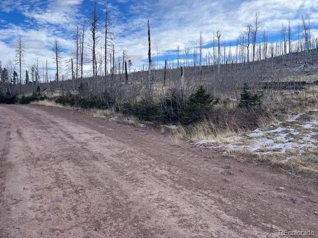 Lot 2544 Petito Drive Fort Garland, CO 81133