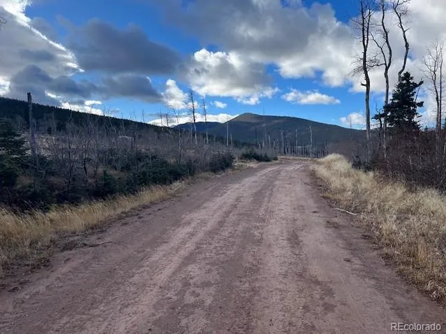 Lot 2544 Petito Drive Fort Garland, CO 81133