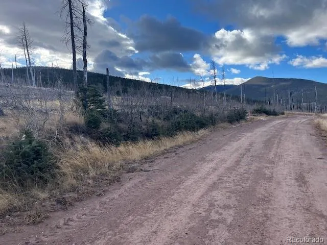 Lot 2544 Petito Drive Fort Garland, CO 81133