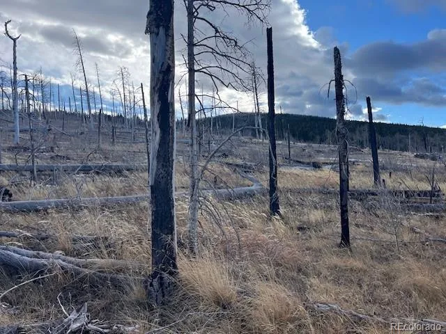 Lot 2544 Petito Drive Fort Garland, CO 81133