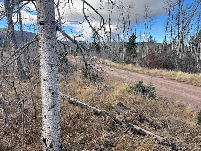 Lot 2544 Petito Drive Fort Garland, CO 81133
