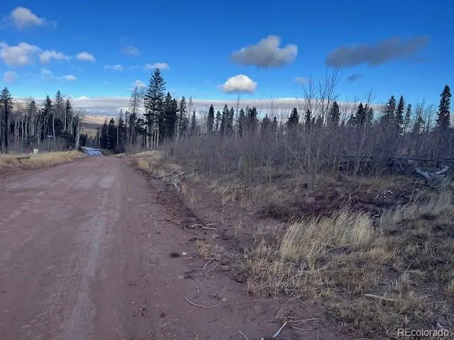 Lot 2544 Petito Drive Fort Garland, CO 81133