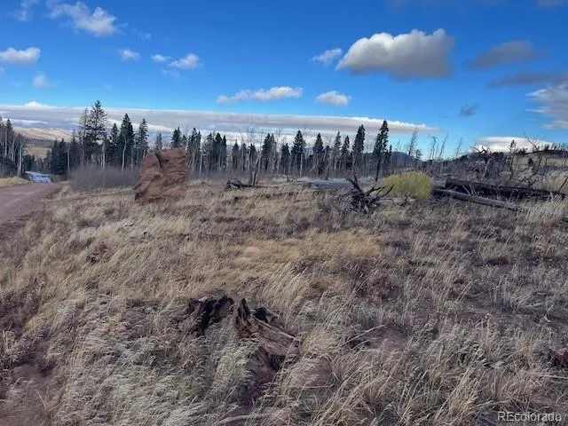 Lot 2544 Petito Drive Fort Garland, CO 81133