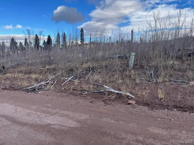 Lot 2544 Petito Drive Fort Garland, CO 81133