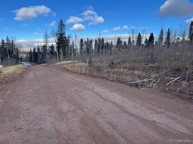 Lot 2544 Petito Drive Fort Garland, CO 81133