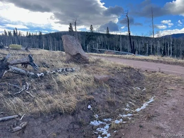 Lot 2544 Petito Drive Fort Garland, CO 81133