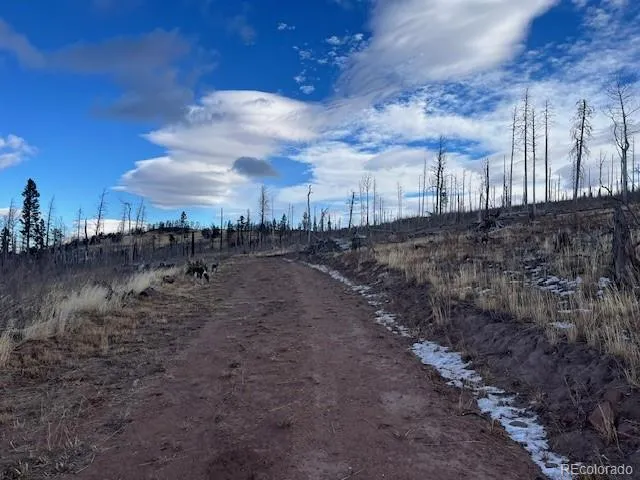 Lot 2544 Petito Drive Fort Garland, CO 81133