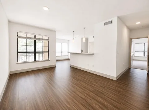 2222 Smith Street #203