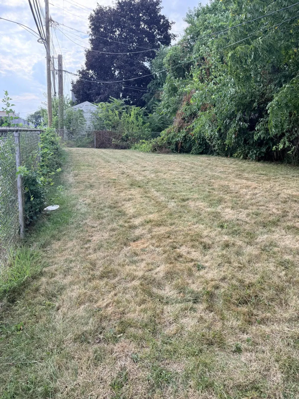19127 Dwyer Street Detroit, MI 48234