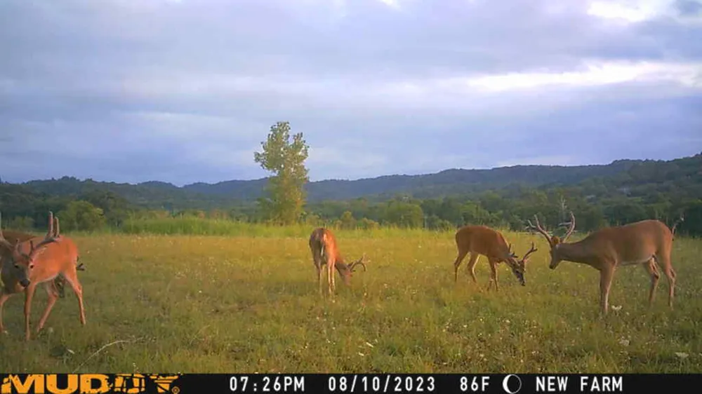 0 Hwy 130 West W Shelbyville, TN 37160
